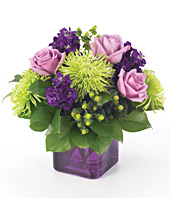 Purple Passion